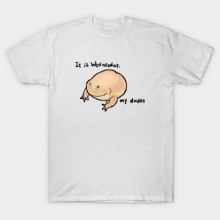 It is wednesday my dudes frog meme T-Shirt